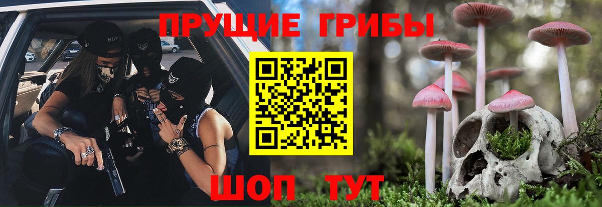 Псилоцибиновые грибы Красноярск