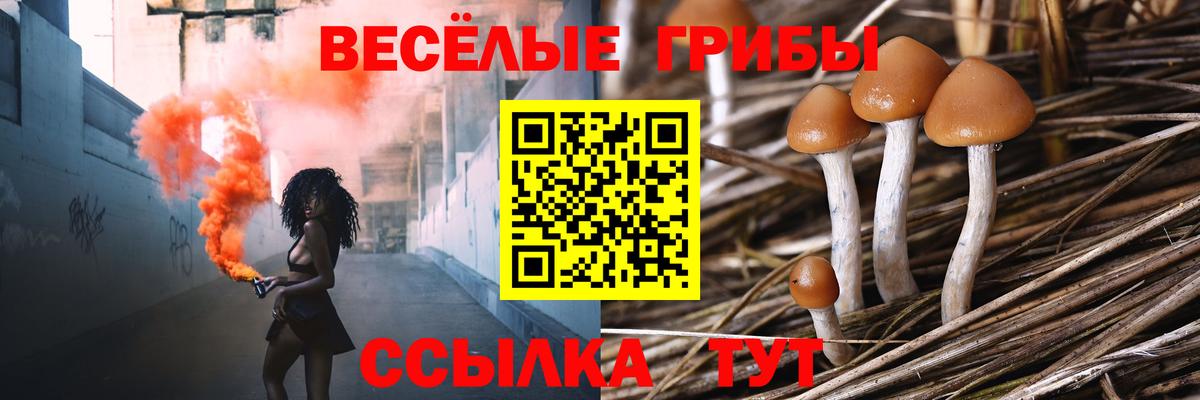 Псилоцибиновые грибы прущие грибы Красноярск
